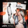 DJ Lindão & Valesca Popozuda - Voltei - Single